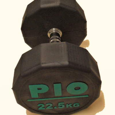 Pioneer Dodecadon Solid Rubber Dumbbell Collection